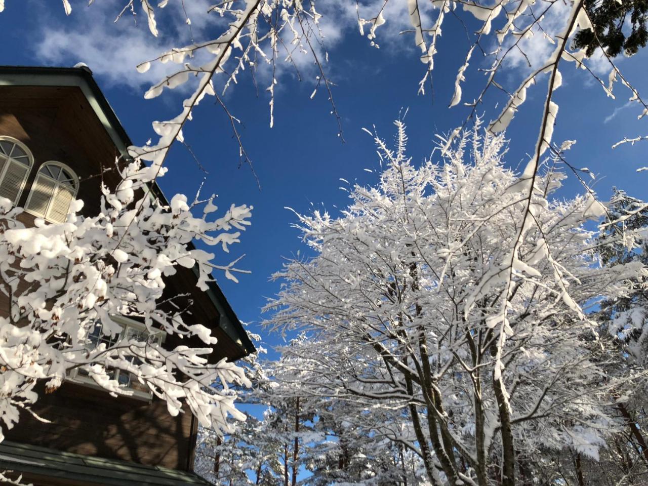 Pension Razteca Hakuba Exterior photo